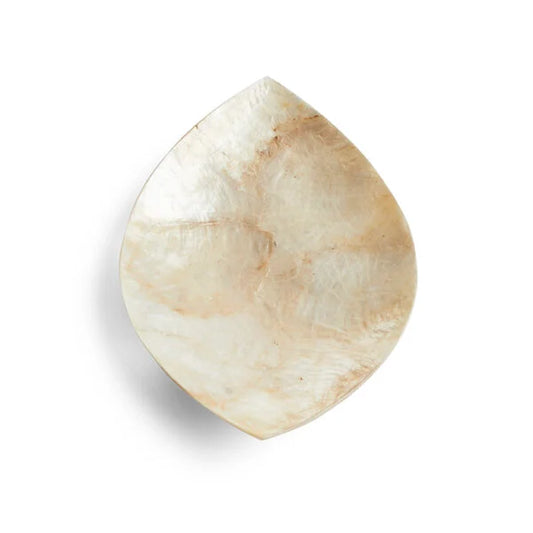Schaaltje leaf